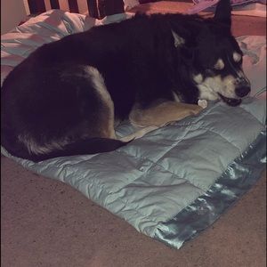 Madame Molincia Hathor (NOT FOR SALE)